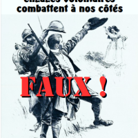 1914/18 : Le mythe des Alsaciens-Lorrains, engagés volontaires dans l'armée française